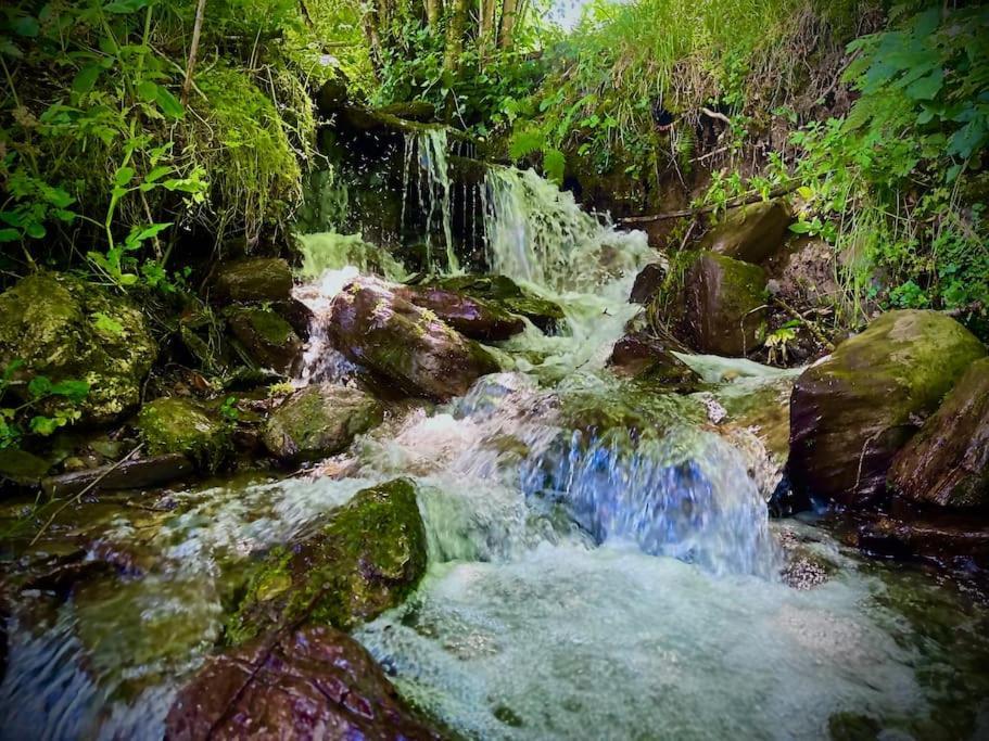 Bergerie De Lasariberes Gazost  Dış mekan fotoğraf